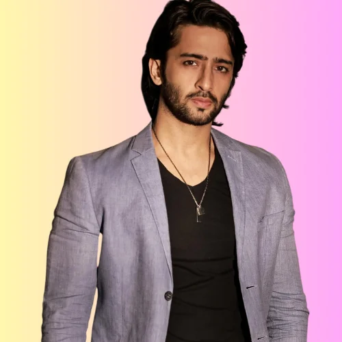 Shaheer Sheikh